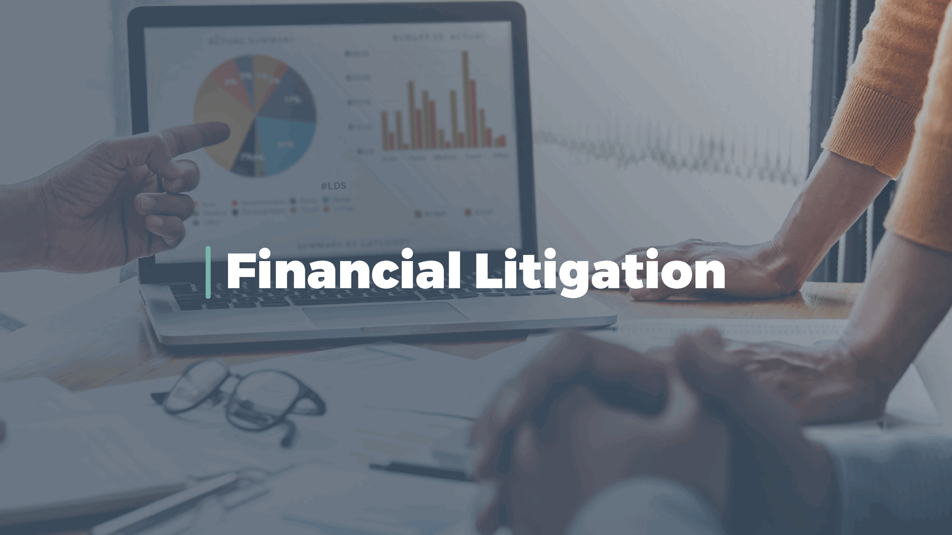 Financial Litigation
