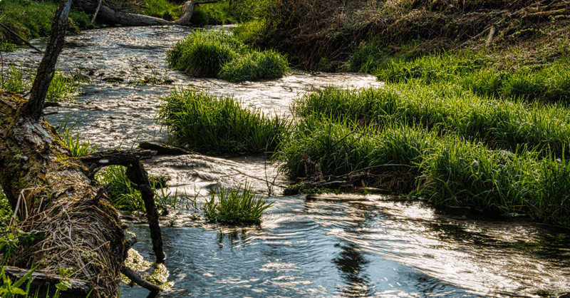 Kaderrichtlijn Water - blogreeks deel 4: Bestaande activiteiten (actualisatie, intrekking, handhaving zorgplicht)