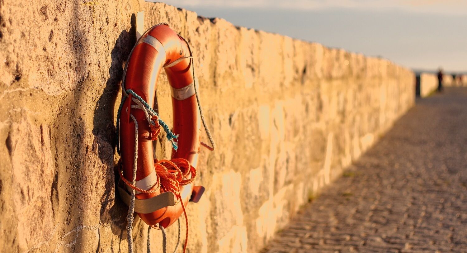 Lancering WHOA-website; voor een antwoord op uw vragen!