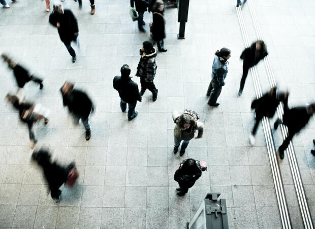 News on Legal Expertise for Complex Problems 