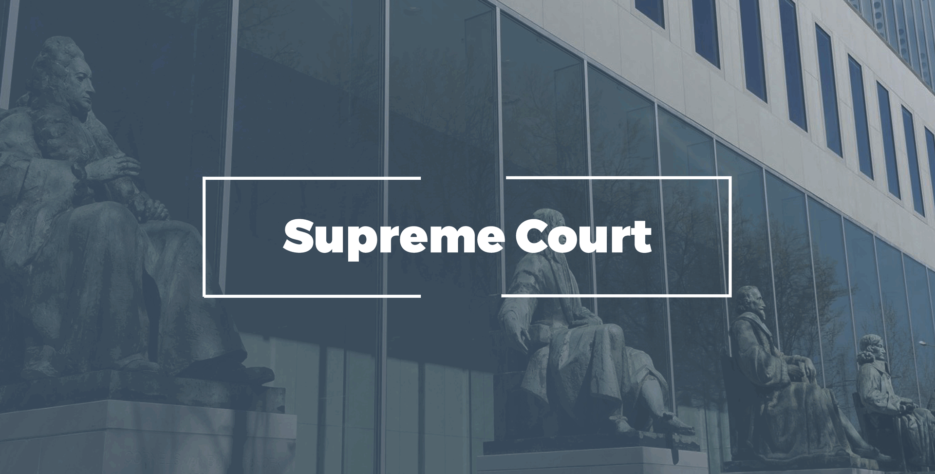 Supreme court litigation