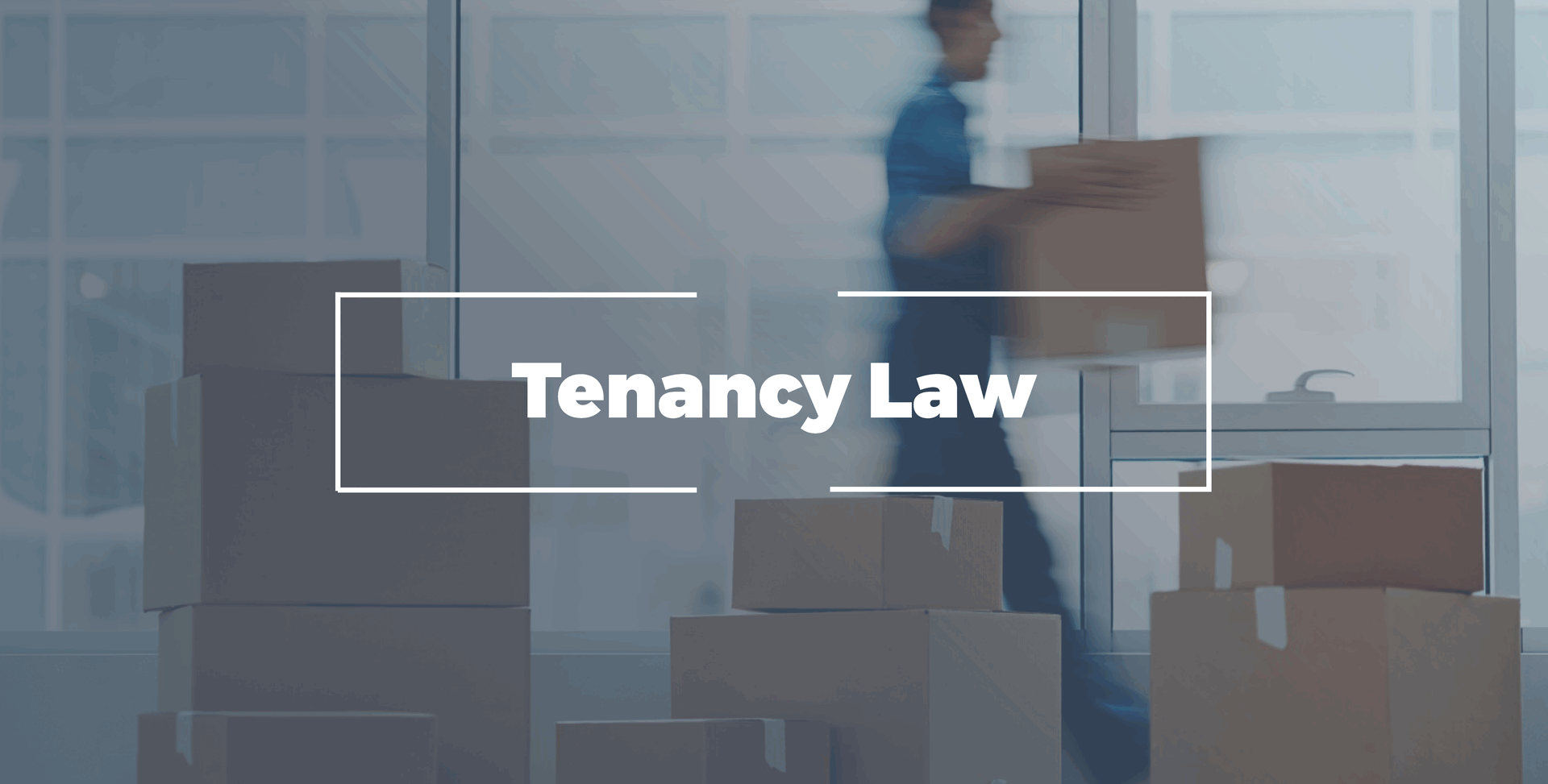 Tenancy law
