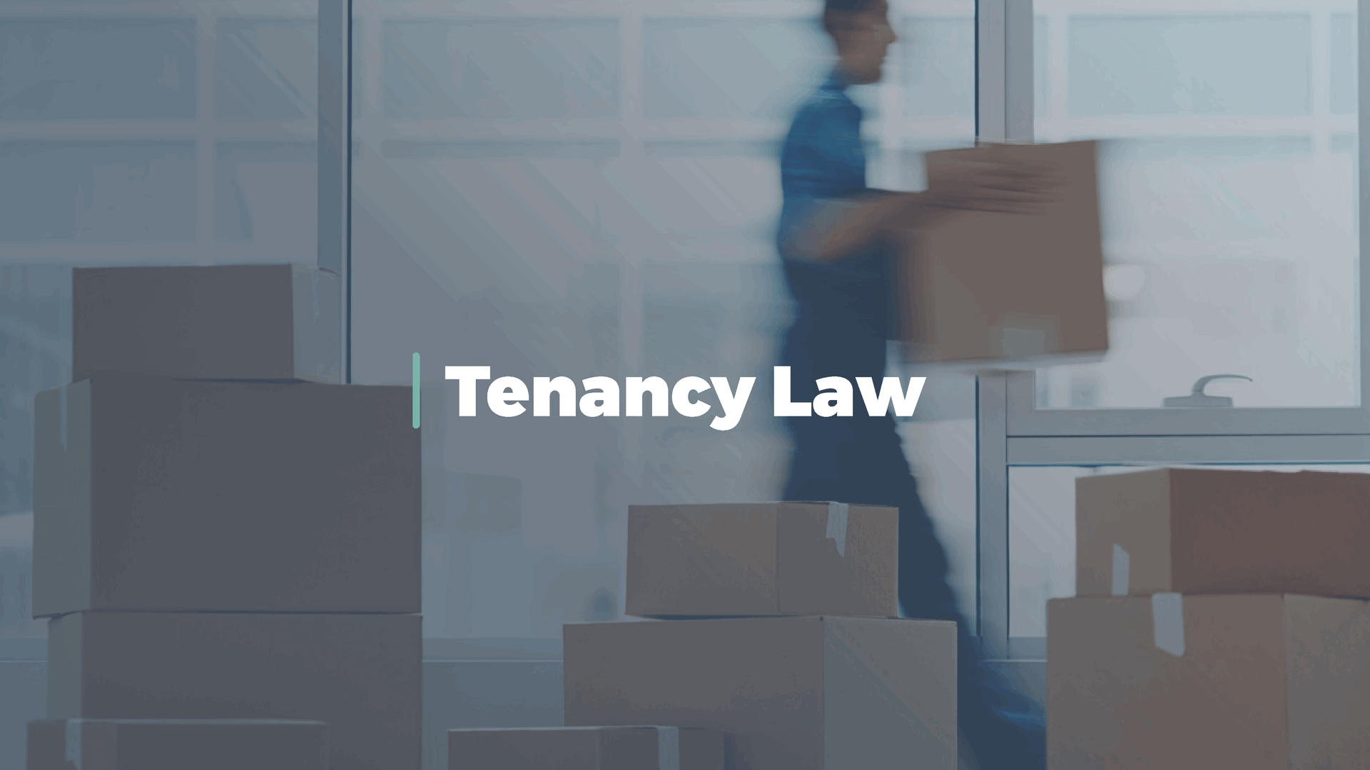 Tenancy law