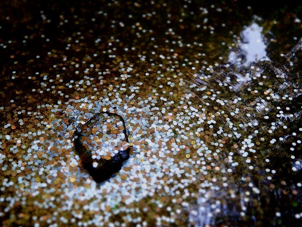 Verbod ESMA op financieel product