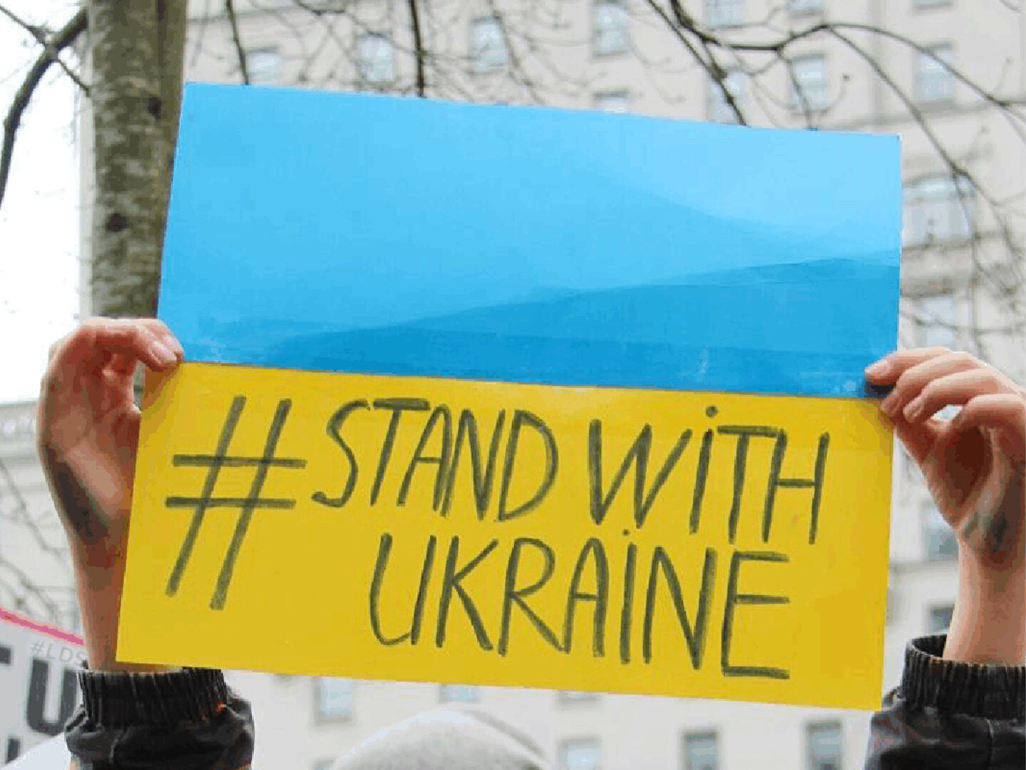 Verklaring 'StandFirm'